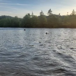 Dorris Ranch - Springfield