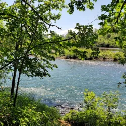 Dorris Ranch - Springfield