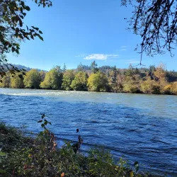 Dorris Ranch - Springfield