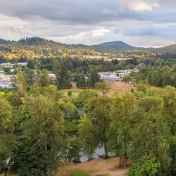 Island Park - Springfield