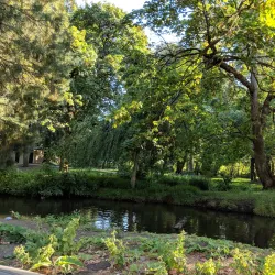 Island Park - Springfield