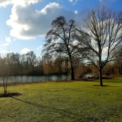 Island Park - Springfield