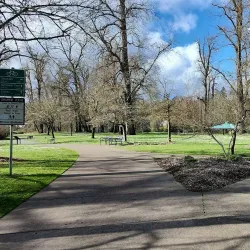 Island Park - Springfield