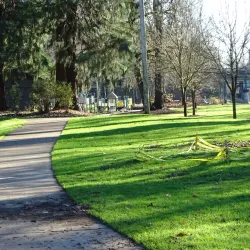 Island Park - Springfield