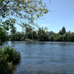 Island Park - Springfield