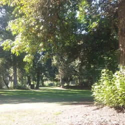 Island Park - Springfield