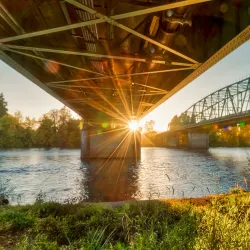 Island Park - Springfield