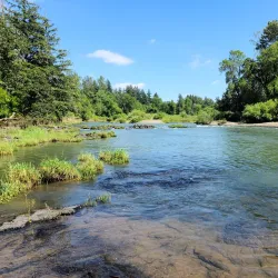 Mount Pisgah Arboretum - Springfield