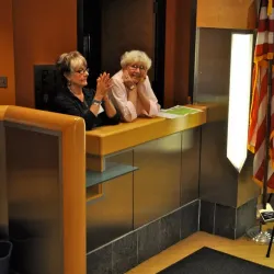 The Wildish Theater - Springfield