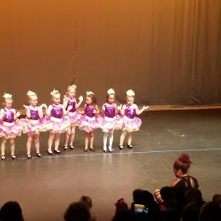 The Wildish Theater - Springfield