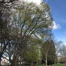 Willamalane Park and Recreation District - Springfield