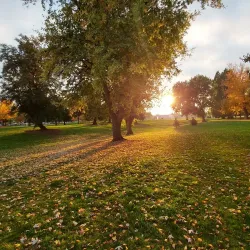 Willamalane Park and Recreation District - Springfield