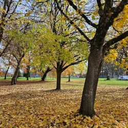 Willamalane Park and Recreation District - Springfield