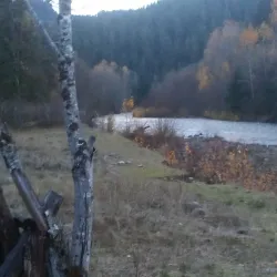 Willamette River Trail - Springfield