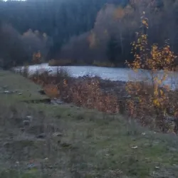 Willamette River Trail - Springfield