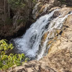 Hickory Run State Park - Albrightsville