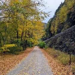 Lehigh Gorge State Park - Albrightsville
