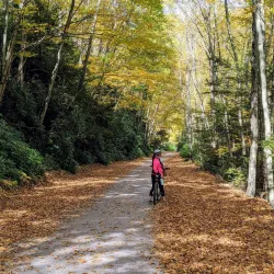Lehigh Gorge State Park - Albrightsville