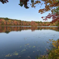 Nescopeck State Park - Albrightsville