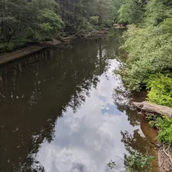 Nescopeck State Park - Albrightsville