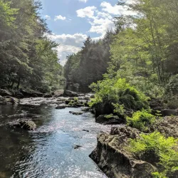 Nescopeck State Park - Albrightsville