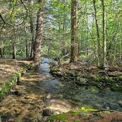 Nescopeck State Park - Albrightsville