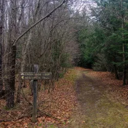 Nescopeck State Park - Albrightsville