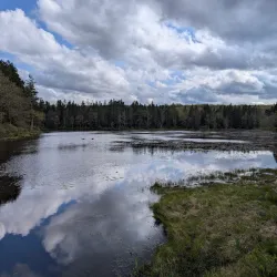 Promised Land State Park - Albrightsville