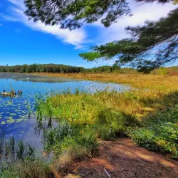 Promised Land State Park - Albrightsville