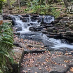 Promised Land State Park - Albrightsville