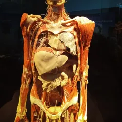 Da Vinci Science Center - Allentown