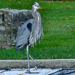 Lehigh Parkway - Allentown
