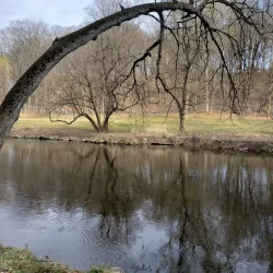 Lehigh Parkway - Allentown