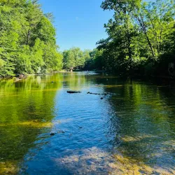 Trexler Nature Preserve - Allentown
