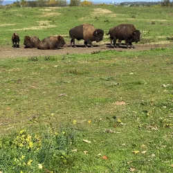 Trexler Nature Preserve - Allentown