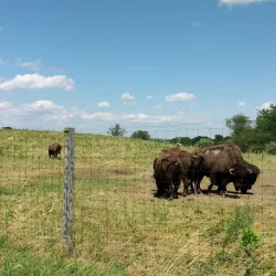 Trexler Nature Preserve - Allentown