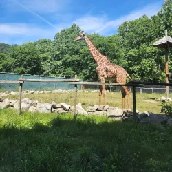 Trexler Nature Preserve - Allentown