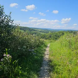 Trexler Nature Preserve - Allentown