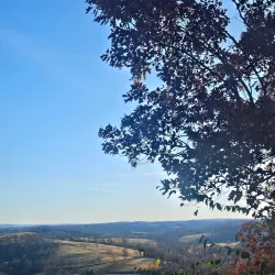 Trexler Nature Preserve - Allentown