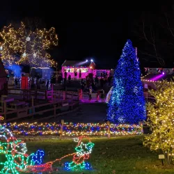 Trexler Nature Preserve - Allentown