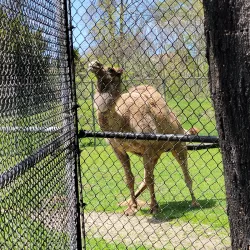 Trexler Nature Preserve - Allentown