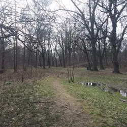 Ambler Borough Park - Ambler