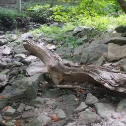 Ambler Borough Park - Ambler