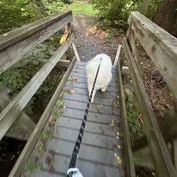 Ambler Borough Park - Ambler