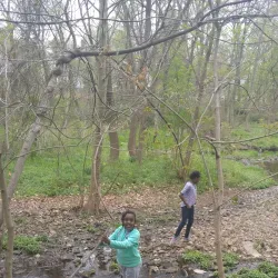 Ambler Borough Park - Ambler