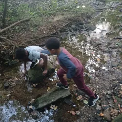 Ambler Borough Park - Ambler