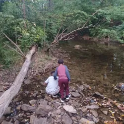 Ambler Borough Park - Ambler