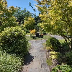 Arboretum at Ambler - Ambler