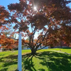 Arboretum at Ambler - Ambler
