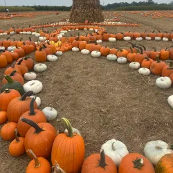 Shady Retreat Park - Ambler
